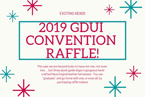 Graphic depicts fireworks in the background with text Exciting News! and 2019 GDUI Convention Raffles. The image has the following text: This year we are beyond lucky to have not one, not even two… but three plush guide dogs in gorgeous hand-crafted Hava Original leather harnesses. You can “graduate” and go home with one, or even all, by purchasing raffle tickets.