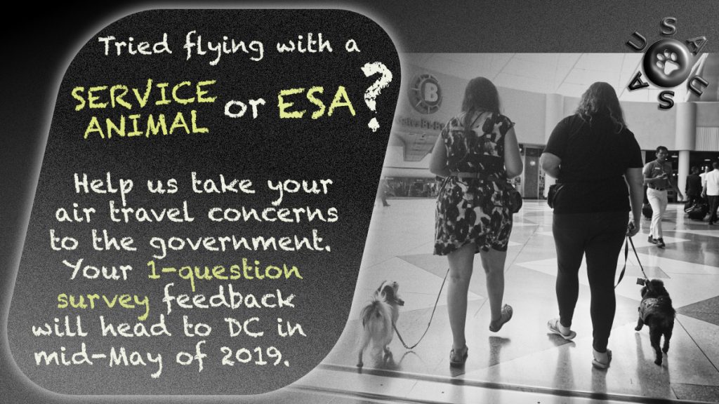 Graphic with text. Black and white picture: Two women with small, heeling service dogs walk through an expansive area in an airport with their backs to the camera. A USAUSA logo with a paw print is in the upper right. Text: "Tried flying with a service animal or ESA? Help us take your air travel concerns to the government. Your 1-question survey feedback will head to DC in mid-May of 2019.