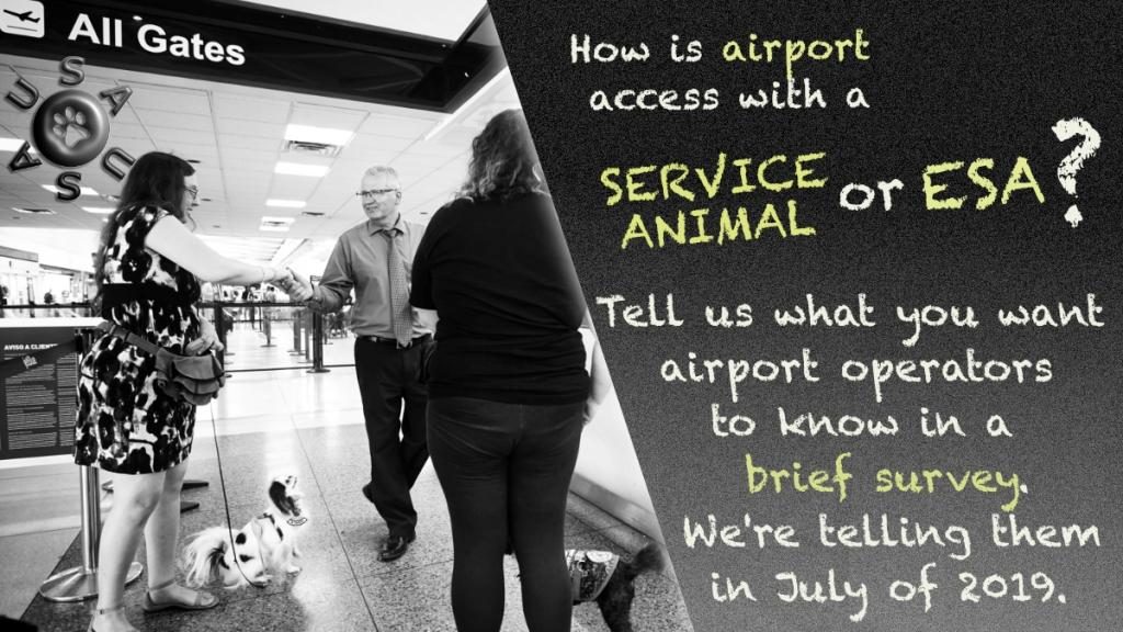 Graphic with text. Text: "How is airport access with a service dog? Tell us what you want airport operators to know in a brief survey. We're telling them in July of 2019." Black and white picture: In an airport, a man in a tie stands facing two women with small service dogs. The woman on the left shakes the man's hand as her service dog sits and looks up toward the man.