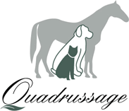 quadrussage company logo 