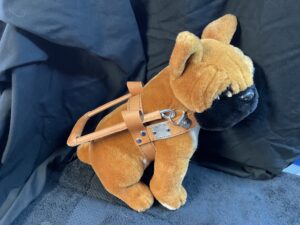 Boxer Side View with Harness