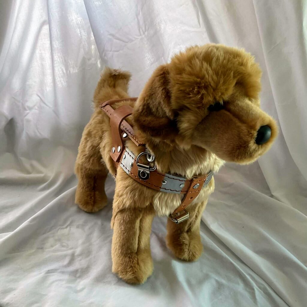 Kelly is a beautiful female Golden Retriever who stands 12 inches tall and measures 17 inches from the tip of her nose to the tip of her tail. Her silky golden coat shines as she stands ready, tail gently wagging.