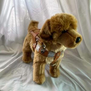 Kelly, Golden Retriever
