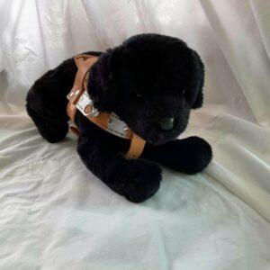 Lewis, Black Lab