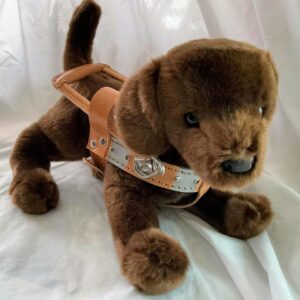 Snickers, Chocolate Lab